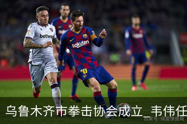 乌鲁木齐市拳击协会成立 韦伟任会长